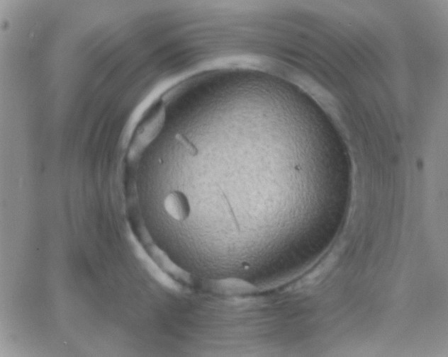 X0000066120816200603171752