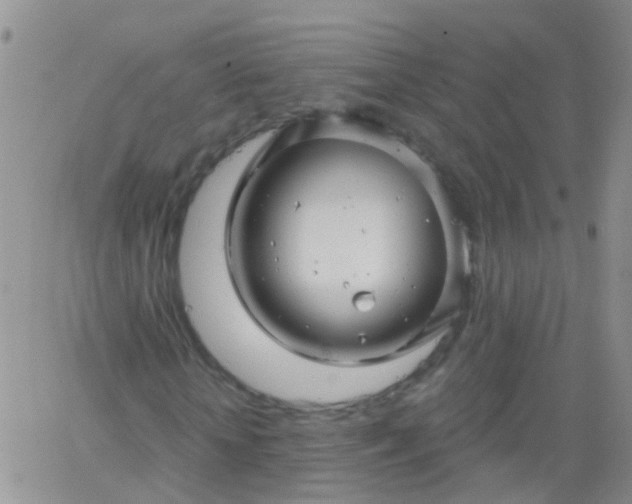 X0000066120818200603171751