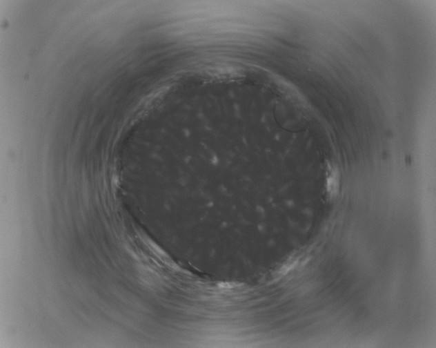 X0000066120819200603171751