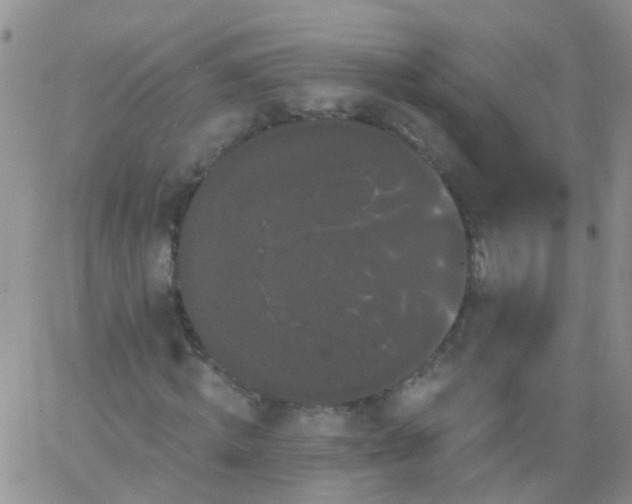 X0000066120820200603171751