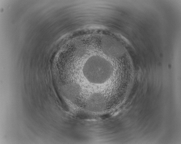 X0000066120821200603171751