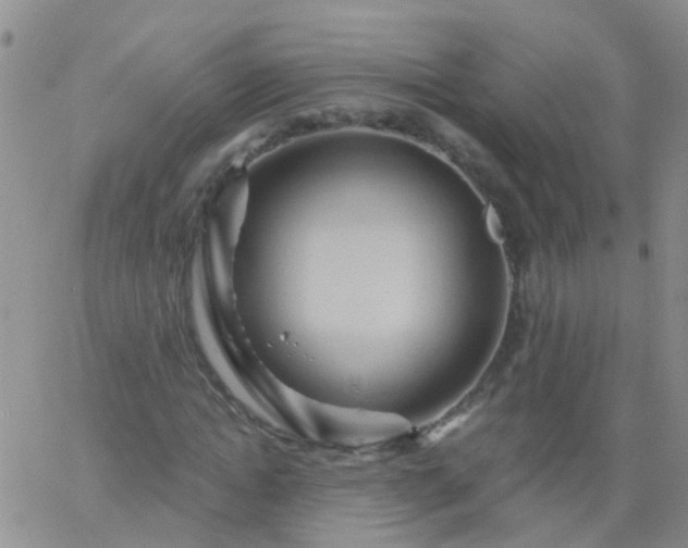 X0000066120822200603171751