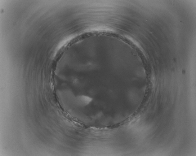 X0000066120823200603171751