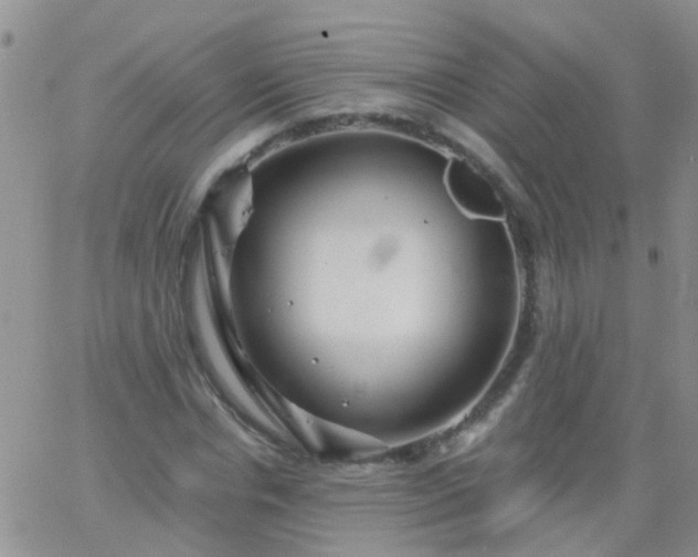 X0000066120826200603171752