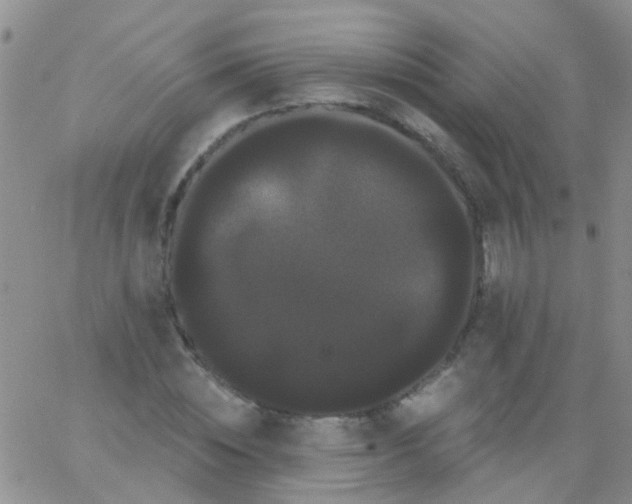 X0000066120828200603171752