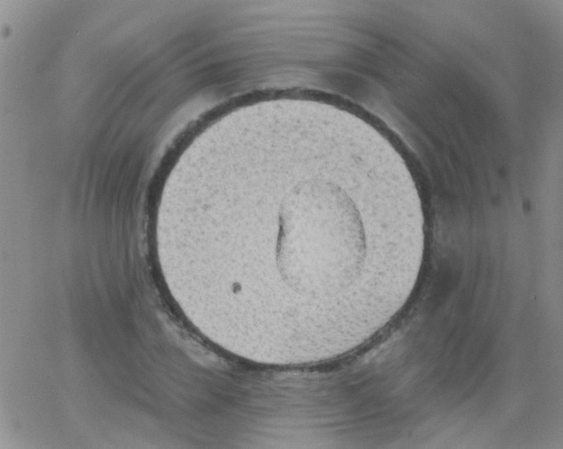 X0000066120832200603171752