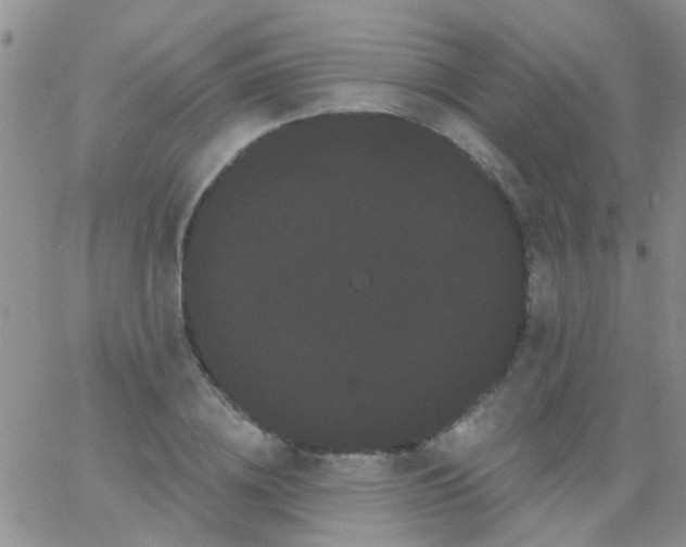 X0000066120836200603171752