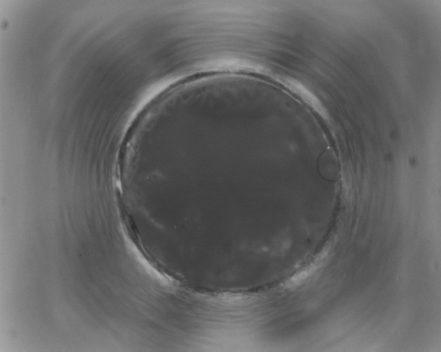 X0000066120839200603171752