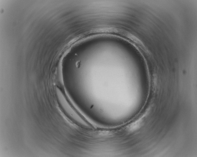 X0000066120841200603171752