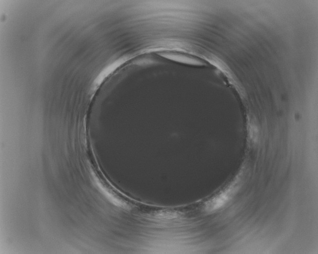 X0000066120842200603171752