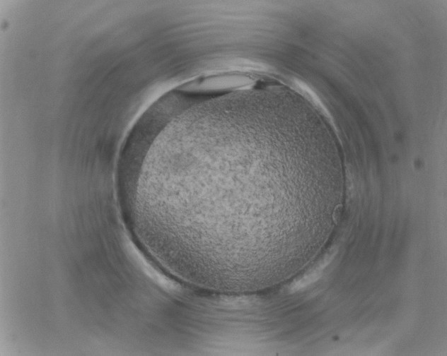 X0000066120843200603171752