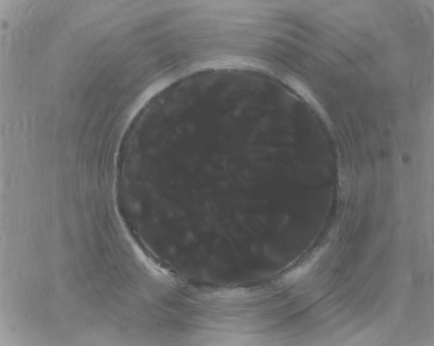 X0000066120845200603171752