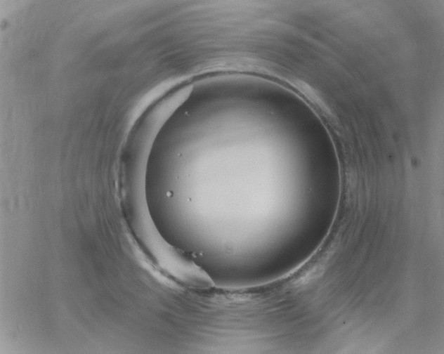 X0000066120846200603171752