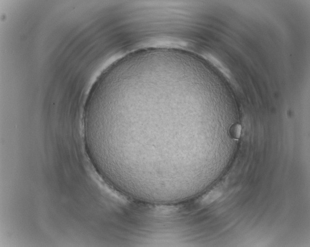 X0000066120848200603171752