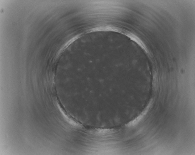 X0000066120849200603171752