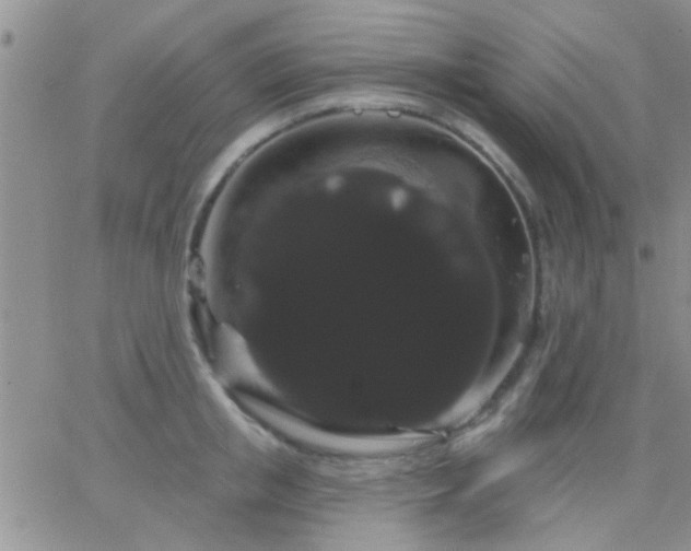 X0000066120853200603171752