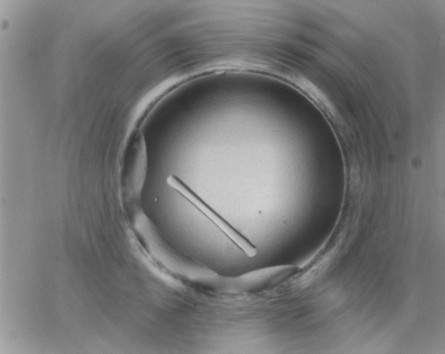 X0000066120854200603171752