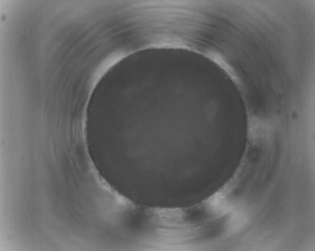 X0000066120856200603171752