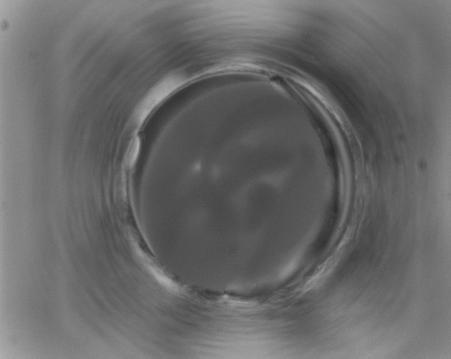 X0000066120858200603171752