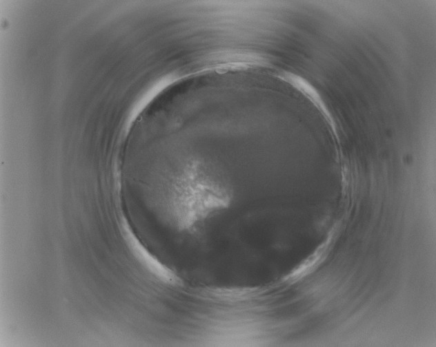 X0000066120859200603171752