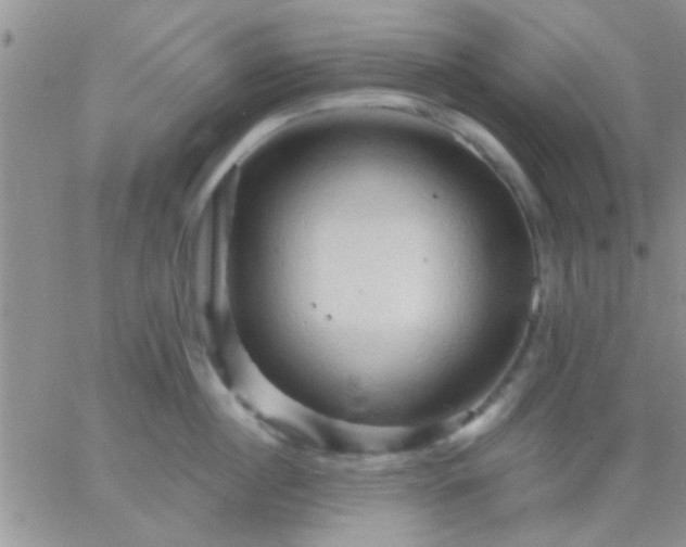 X0000066120860200603171752