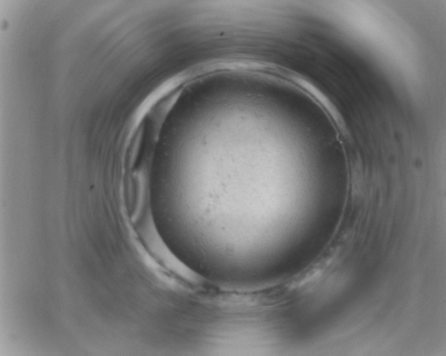 X0000066120861200603171752