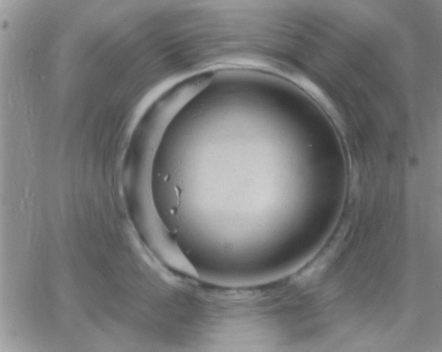 X0000066120862200603171752