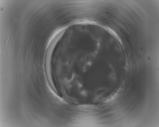 X0000066120863200603171752