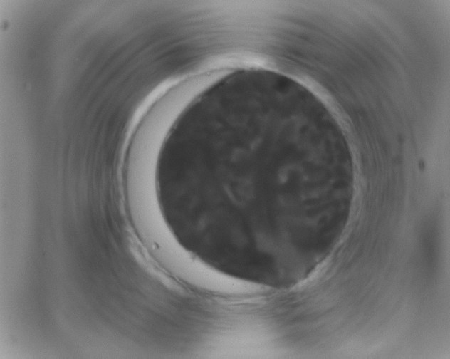 X0000066120864200603171752