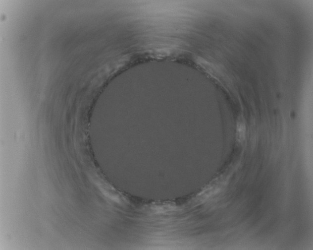 X0000066120865200603171751