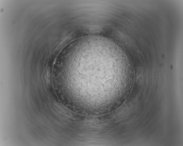 X0000066120866200603171751