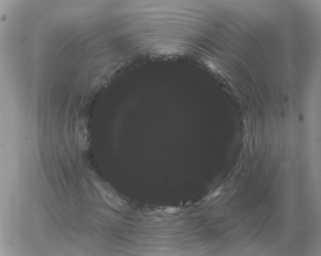 X0000066120868200603171751