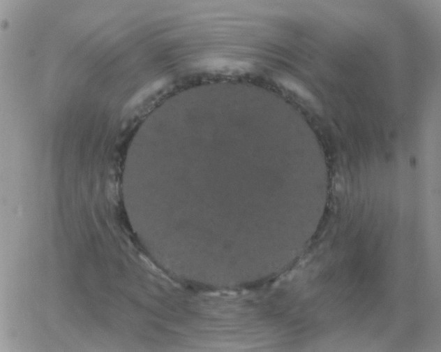 X0000066120869200603171751