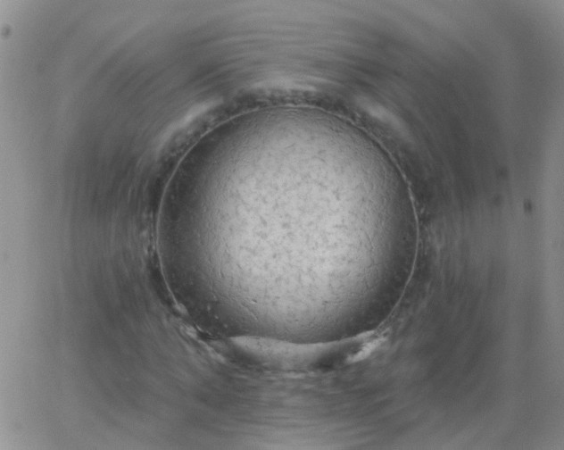 X0000066120870200603171751