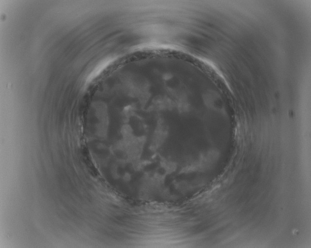 X0000066120871200603171751