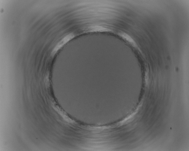 X0000066120873200603171751