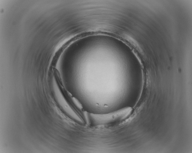 X0000066120876200603171751