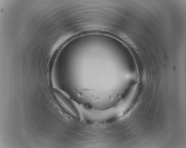 X0000066120877200603171751