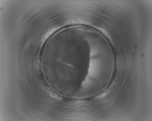 X0000066120879200603171751