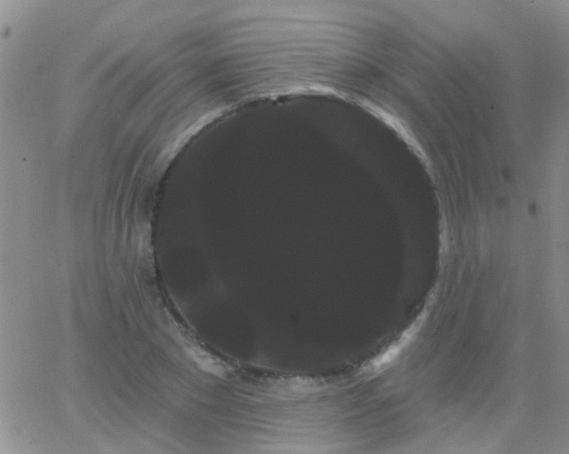 X0000066120881200603171751