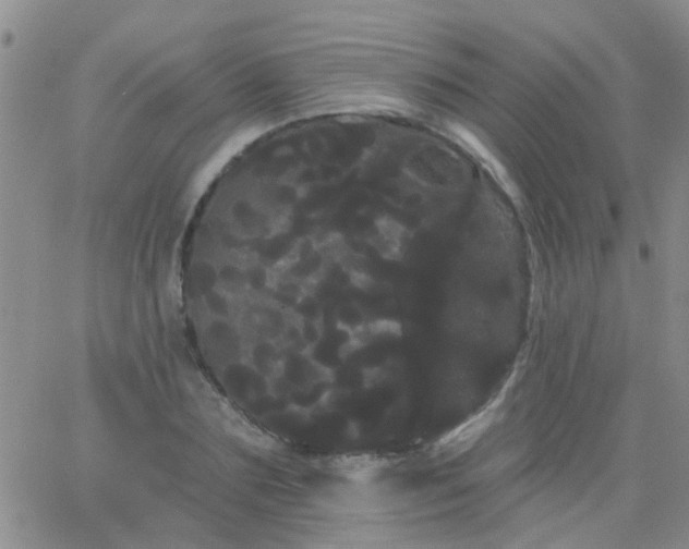 X0000066120883200603171751