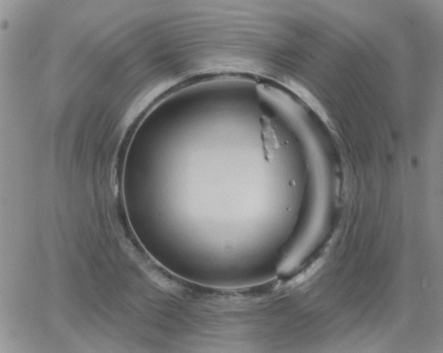 X0000066120885200603171751