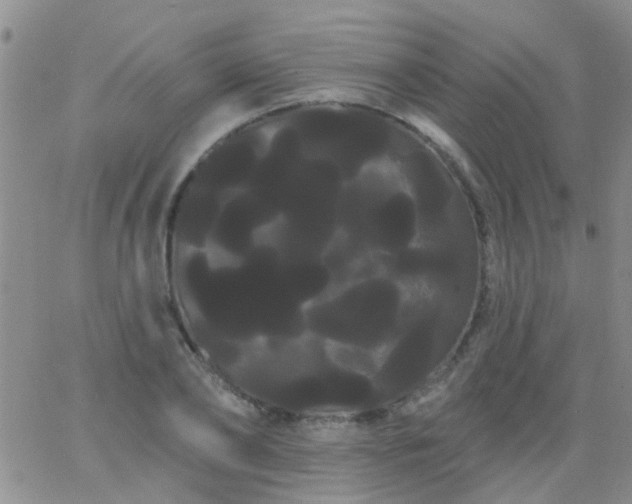 X0000066120886200603171751