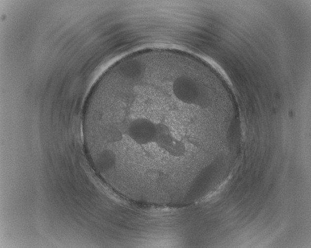 X0000066120887200603171751