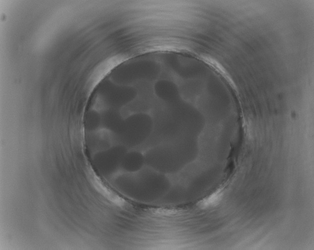 X0000066120890200603171751