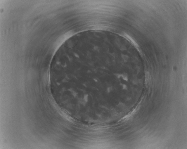 X0000066120891200603171751