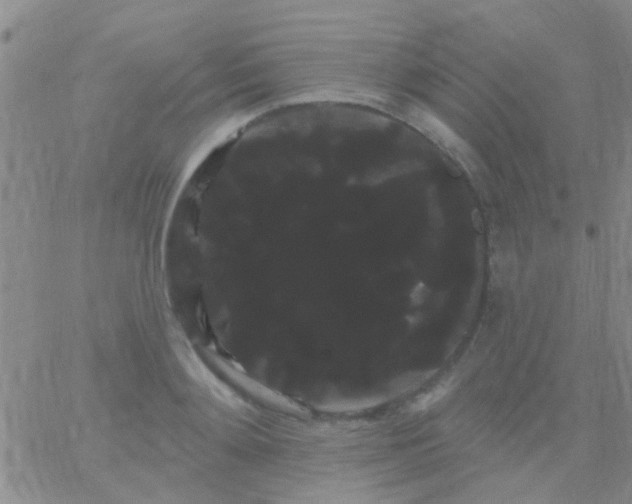 X0000066120892200603171751