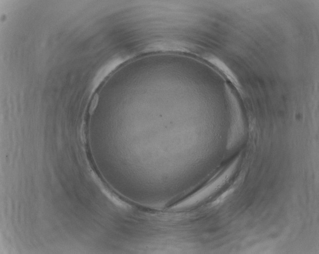 X0000066120893200603171751