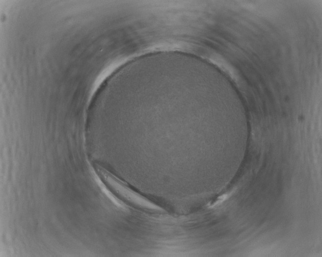 X0000066120894200603171751