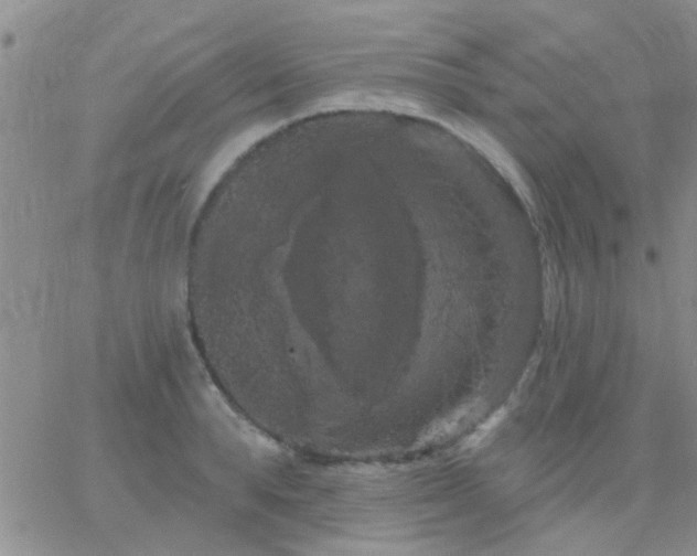 X0000066120896200603171751